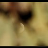 20111102_100